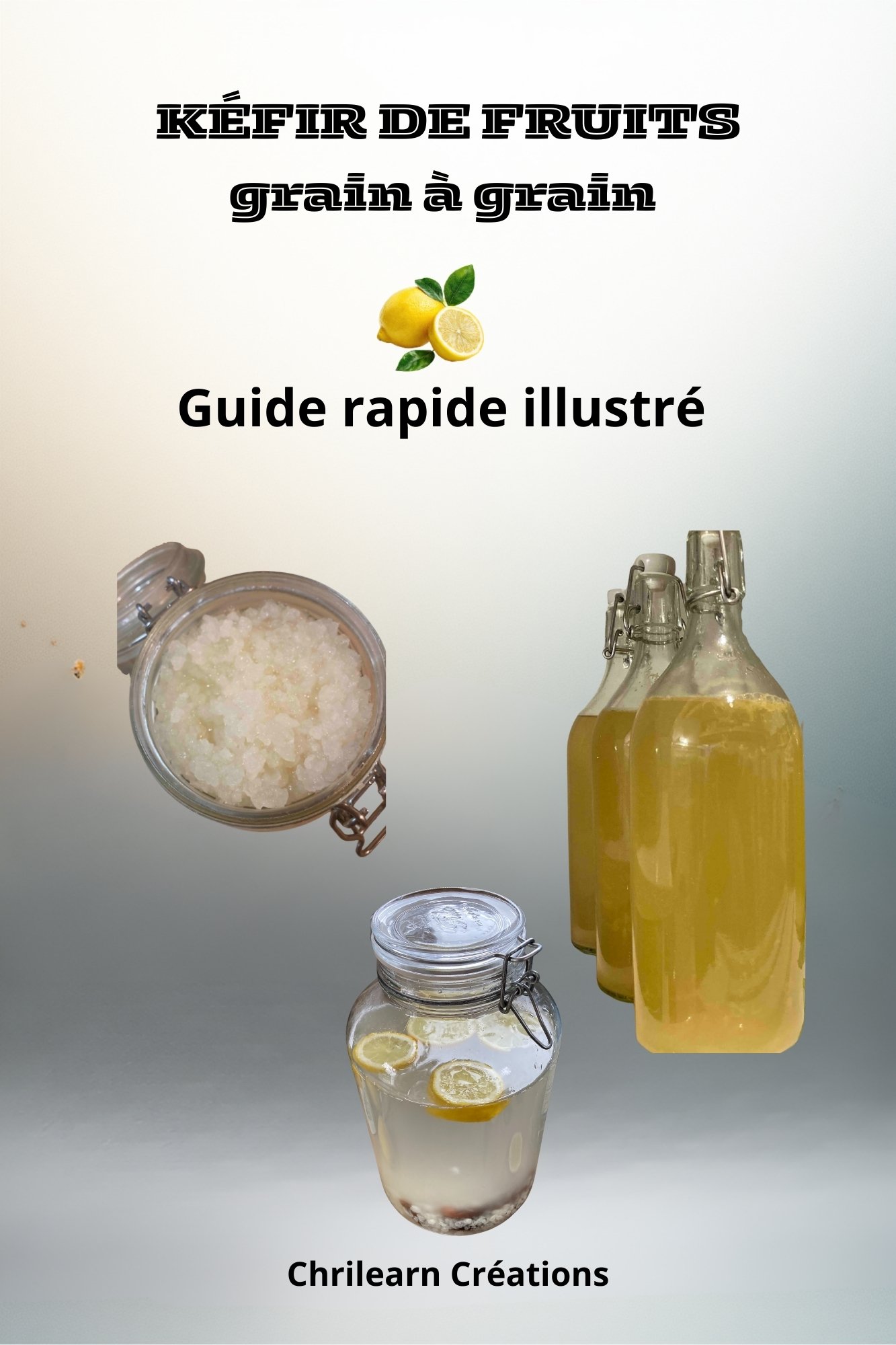 KÉFIR DE FRUITS  Grain à grain  Guide rapide illustré