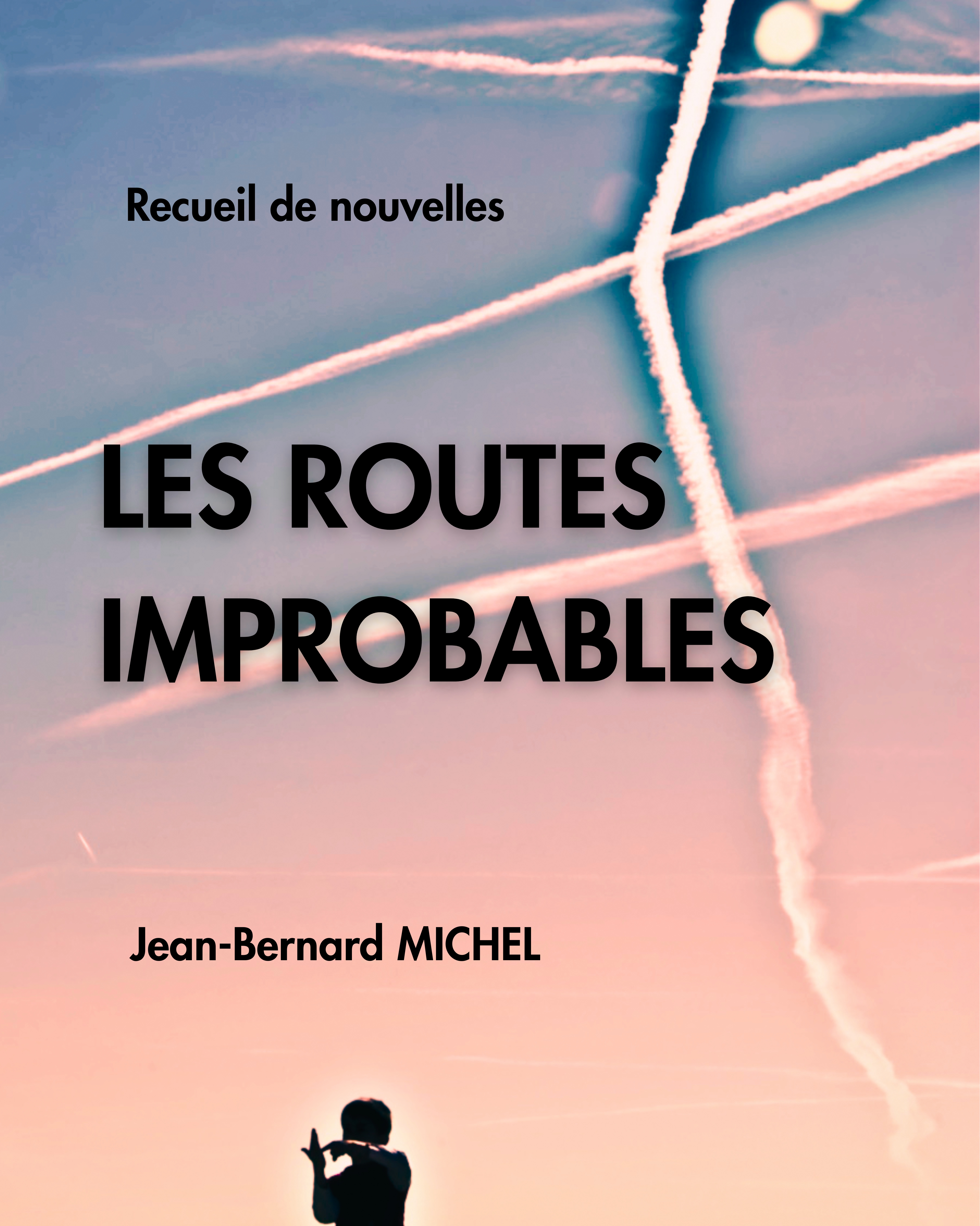 LES ROUTES IMPROBABLES : Le maître mot de ce recueil : l'émotion, qui vous emmène dans un voyage intense sur les routes de l'aviation, comme dans celles de l'intime.